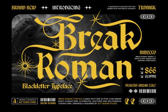 Break Roman Typeface for Bold Campaign Design