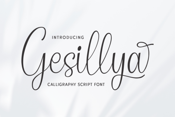 Gesillya Typeface for Modern Branding