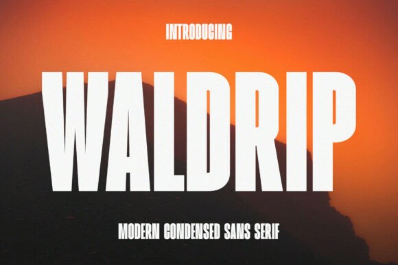 Waldrip: A Modern Sans Serif Font for Branding