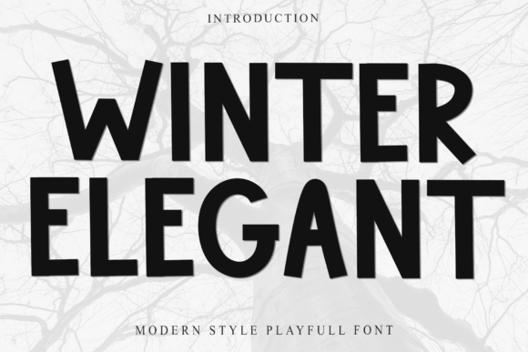 Winter Elegant Typeface for Editorial Warmth